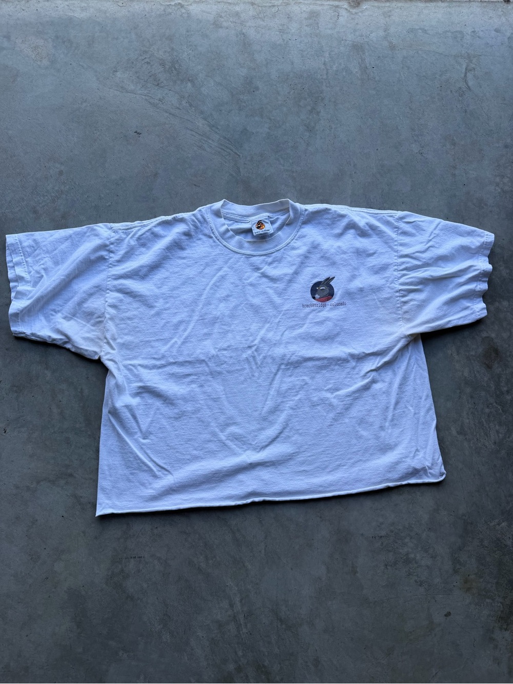 Men’s Vintage Crop Top Breckenridge Colorado T Shirt